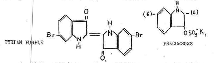 Chemical structures labeled Tyrian Purple and Precursors