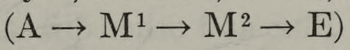 Azo dye sequence: A → M1 → M2 → E